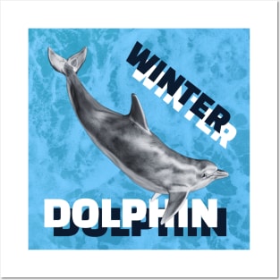 WINTER DOLPHIN Posters and Art